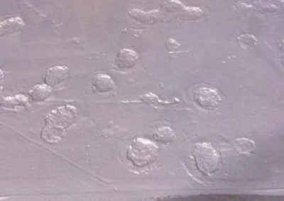 Rust Grip Application 2