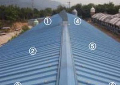 Super Therm Chicken Coup Chicken Broiler 1