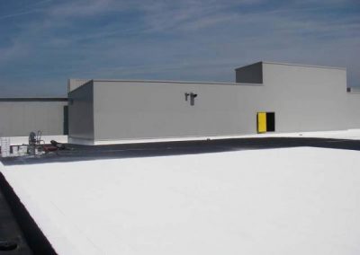 Super Therm Frozen Food Procuder 2